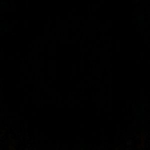 Meet your Posher, Bill